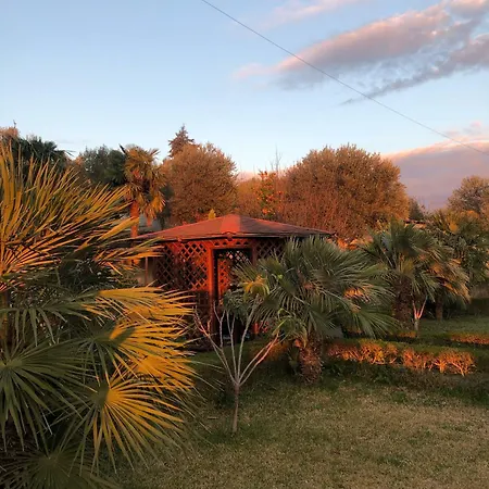 Villa Sunny Borakaj
